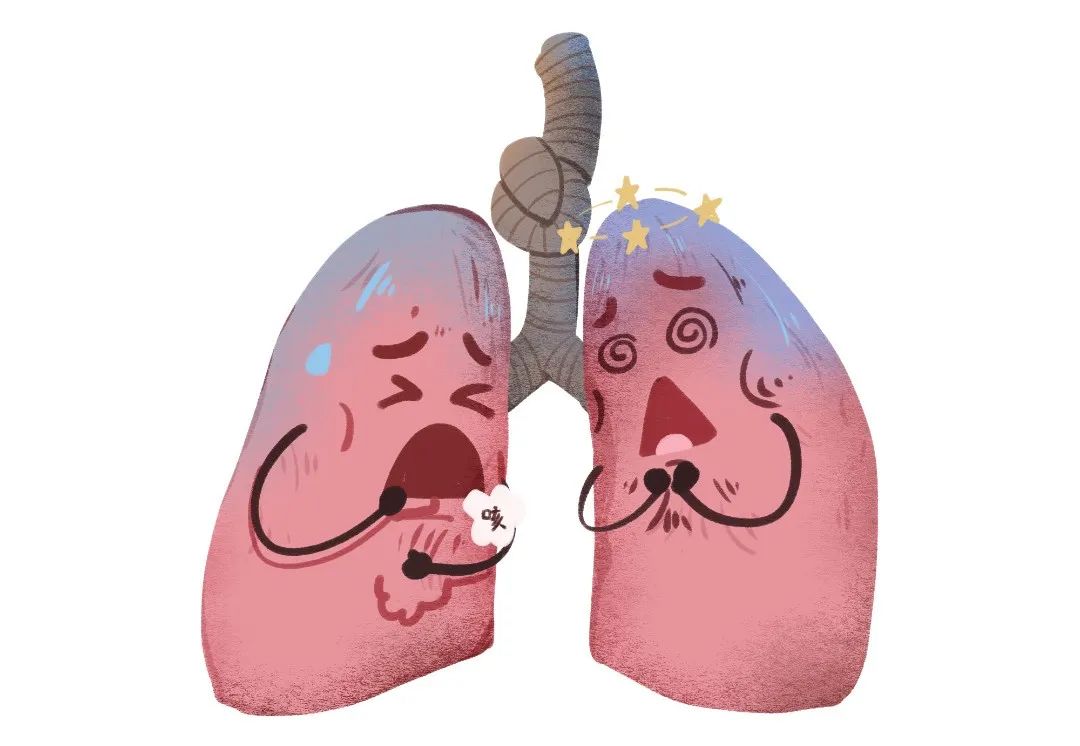 图片[4]-间充质干细胞潜力无限，涉及200余种适应症，应对8大系统疾病！-Hypeptide