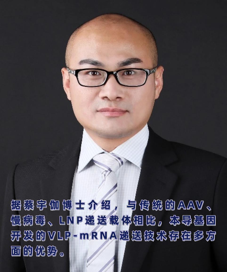 原创VLP递送载体，引领体内基因编辑新时代｜山蓝Family-Hypeptide