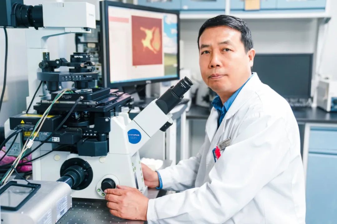 瘤·学声 | 天津医科大学肿瘤医院任秀宝教授当选国际免疫细胞治疗权威组织副主席医药新闻-ByDrug-一站式医药资源共享中心-医药魔方