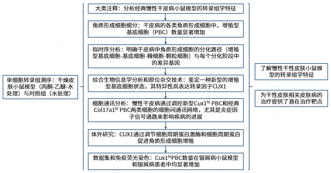 图片[1]-项目文章 | 慢性干皮病细胞图谱中一种新型基底细胞状态及其功能-Hypeptide