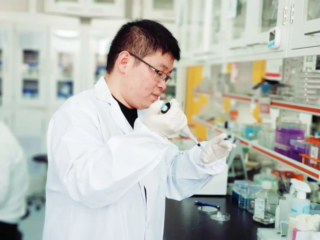 图片[3]-从物理学角度构建功能更完备的类器官用于组织修复、药物筛选-Hypeptide