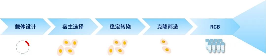 FISH技术：细胞单克隆源性验证的解决方案医药新闻-ByDrug-一站式医药资源共享中心-医药魔方