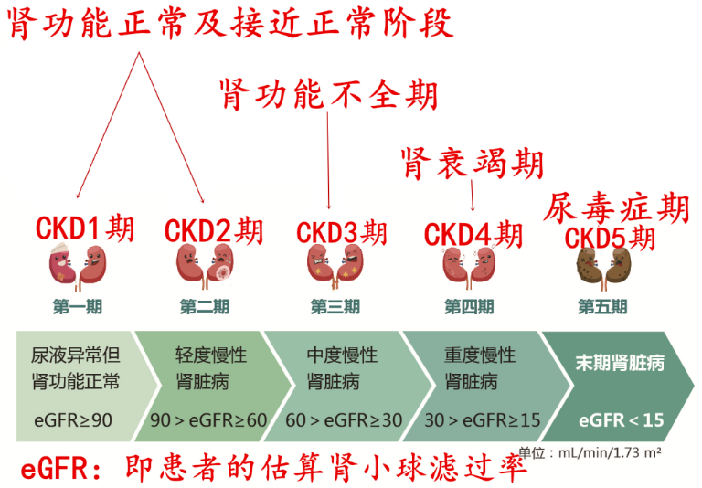多个研究案例证实干细胞治疗肾脏疾病安全有效医药新闻-ByDrug-一站式医药资源共享中心-医药魔方