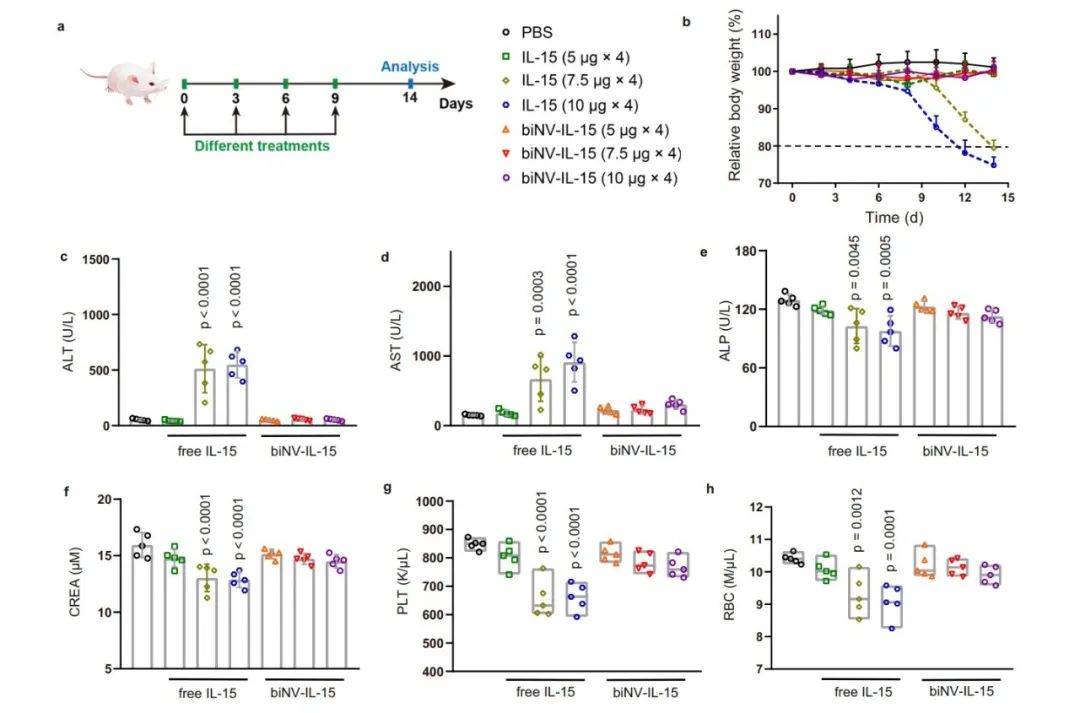 图片[5]-沈阳药科大学与新加坡国立大学报道新型多价IL-15递送策略-Hypeptide