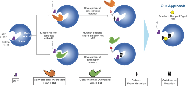 图片[9]-2024年有望获批上市的 20 款重磅新药-Hypeptide