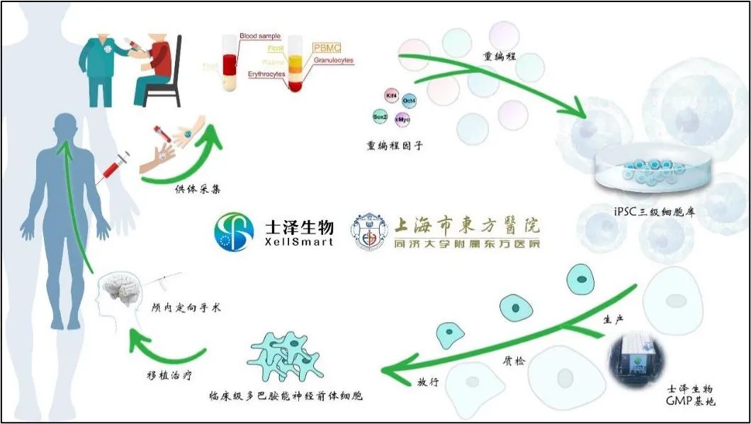 国内21家布局iPSC细胞疗法公司盘点及管线梳理医药新闻-ByDrug-一站式医药资源共享中心-医药魔方