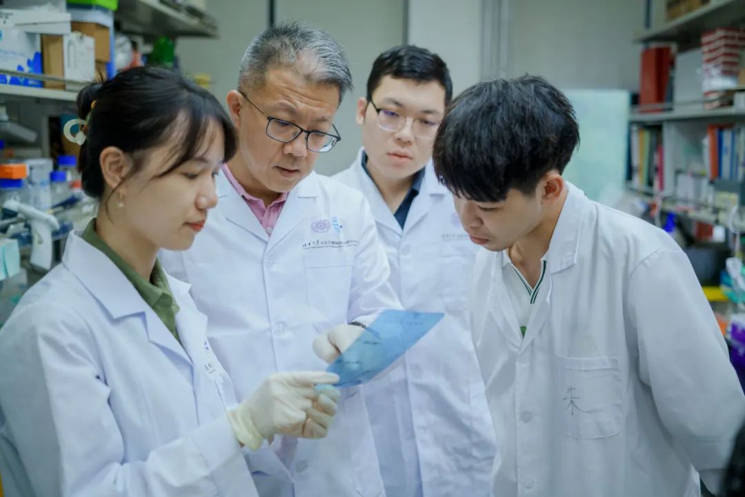 十余年攻关!清华团队取得免疫学研究新突破医药新闻-ByDrug-一站式医药资源共享中心-医药魔方