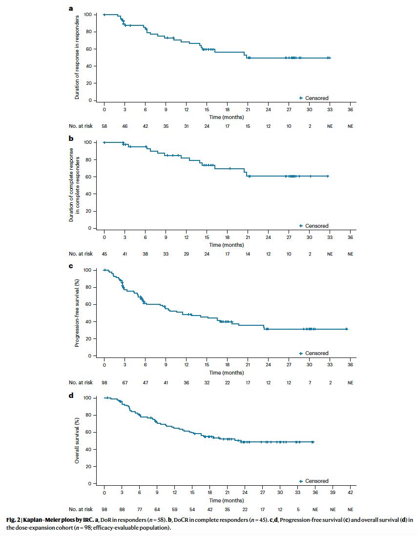 图片[3]-双抗+ADC！Nature Med发表复发或难治性大B细胞淋巴瘤Ib/II期结果-Hypeptide
