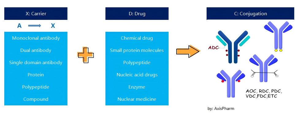 从RDC到诊疗一体化,核药产业链的核心壁垒正在重构医药新闻-ByDrug-一站式医药资源共享中心-医药魔方