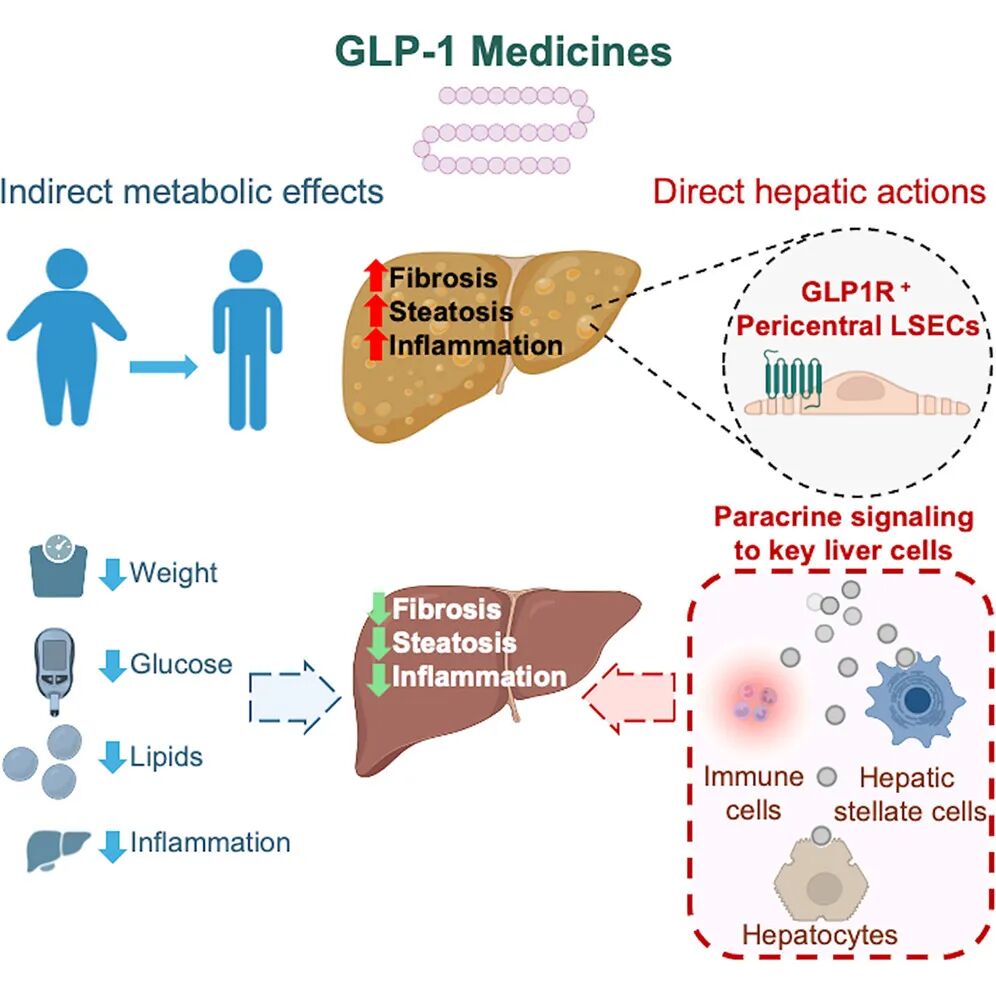 thrive glp-1 reviews GLP-1 Medications in Portland, OR