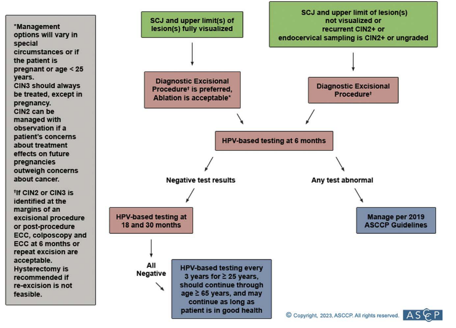New Asccp Algorithm2020 文献解读 | 2019 ASCCP指南更新解读,全面提升患者获益医药新闻-ByDrug-一站式医药资源共享中心-医药魔方