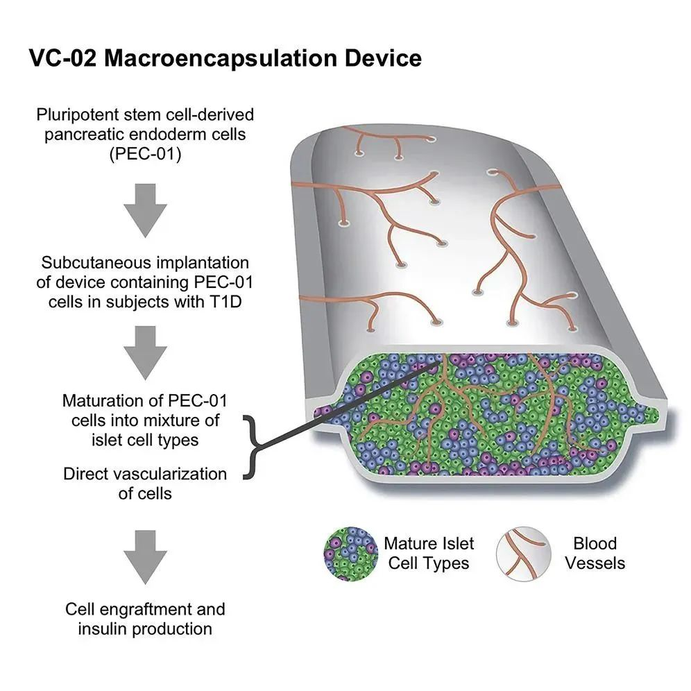 图片[2]-改良版现货干细胞药物改善血糖水平，让胰岛素用量减少44%-Hypeptide