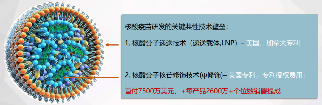诺恩基因:完成数千万人民币战略轮融资-Hypeptide