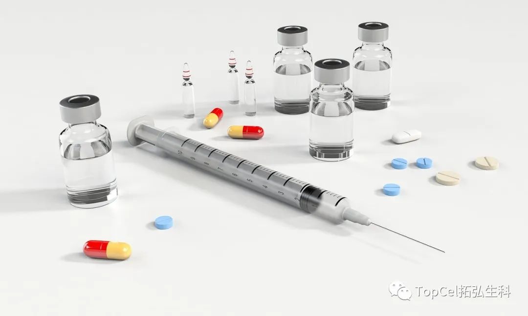 图片[2]-南京大学：异位甲状腺可保持功能-Hypeptide