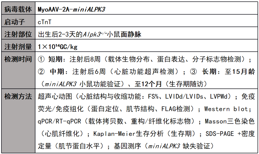 【IF 38.6】 miniALPK3基因疗法为ALPK3相关心肌病带来新曙光医药新闻-ByDrug-一站式医药资源共享中心-医药魔方