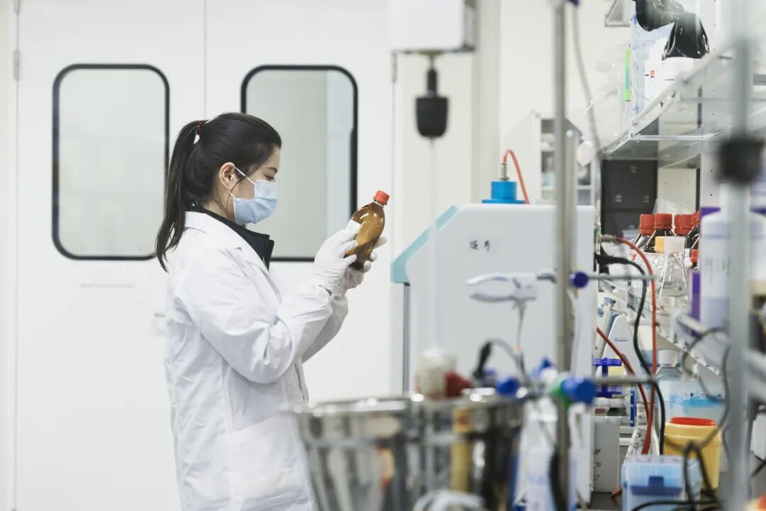 一篇论文,如何在上海长成一家公司?“巢生”为创新生物技术深度筑巢医药新闻-ByDrug-一站式医药资源共享中心-医药魔方
