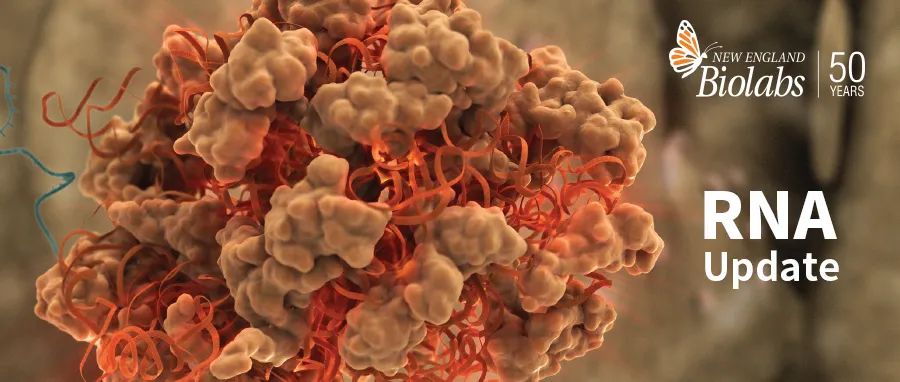 RNA 研究,诺贝尔生理学或医学奖的宠儿医药新闻-ByDrug-一站式医药资源共享中心-医药魔方