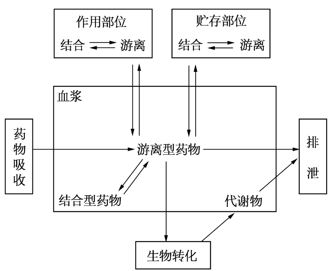 机体内发生化学变化生成代谢产物的过程称为生物转化,通常称药物代谢