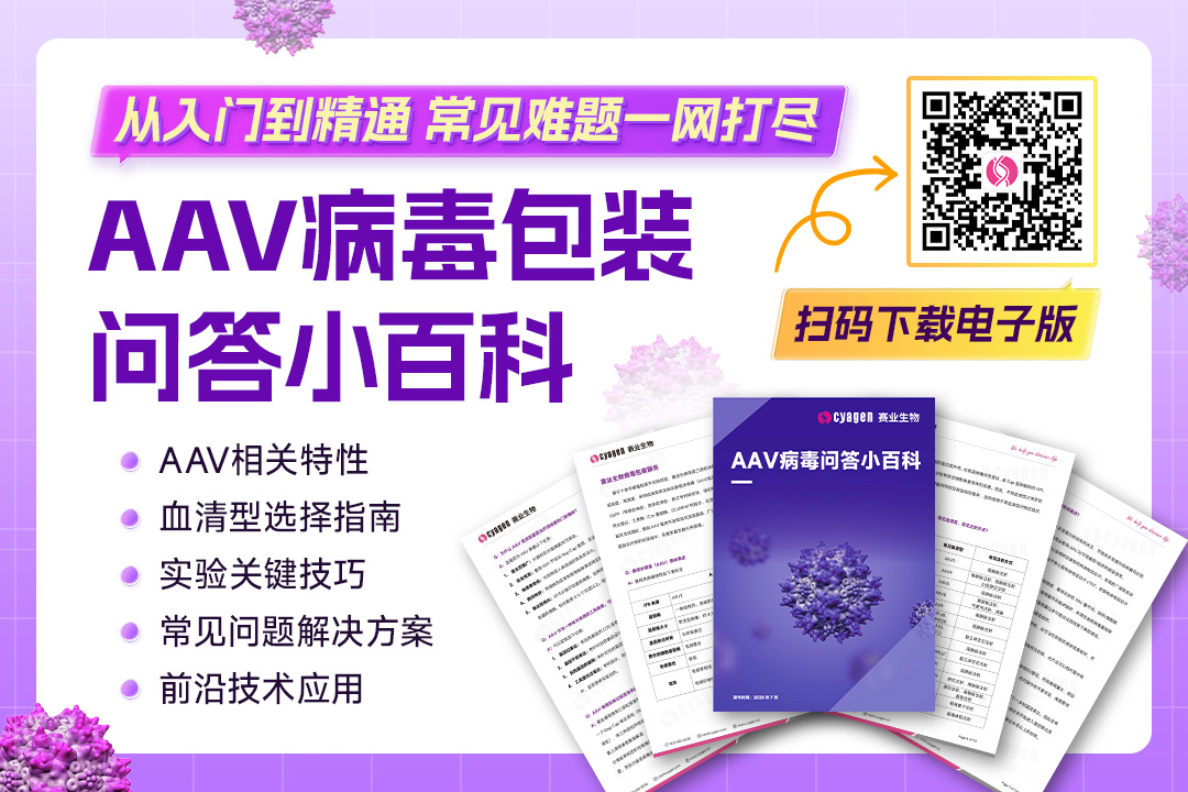 基因治疗药效不佳、毒性过高?拆解AAV载体设计与体内递送的20大盲区医药新闻-ByDrug-一站式医药资源共享中心-医药魔方
