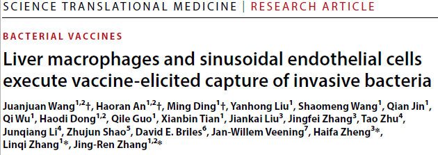清华大学联合民海生物发现疫苗清除病原菌的新型免疫保护机制-Hypeptide