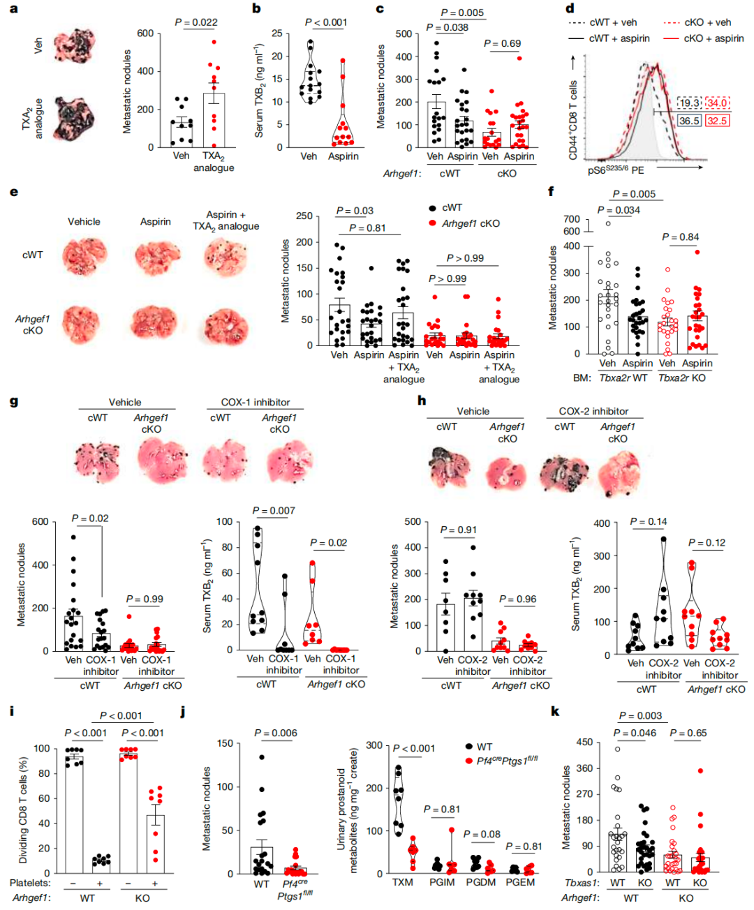 剑桥杨杰一作兼通讯Nature：科学家发现阿司匹林如何阻止癌症转移医药