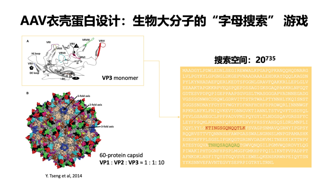 西湖云谷智药:AI破解AAV递送难题,入局in vivo CAR-T超级赛道,国产基因疗法正当时 | 高榕未来医药新闻-ByDrug-一站式 ...