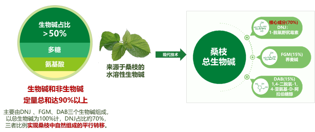 突破:桑枝降糖发现创新的医学奇迹医药新闻-ByDrug-一站式医药资源共享中心-医药魔方