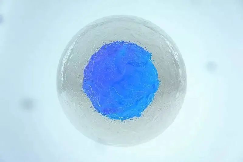 图片[2]-干细胞疗法在骨关节炎的临床研究项目，骨关节炎患者迎来福音-Hypeptide