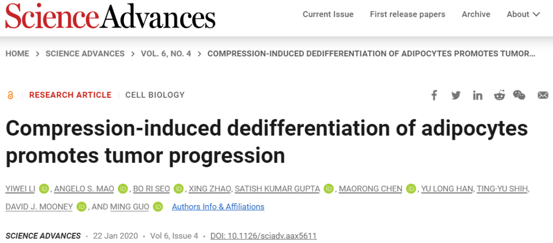 图片[8]-从物理学角度构建功能更完备的类器官用于组织修复、药物筛选-Hypeptide
