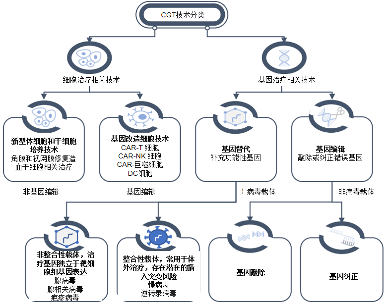 无动物源性！新型植物源成分助力CGT研发与生产医药新闻-ByDrug-一站式医药资源共享中心-医药魔方