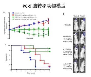AZD3759: 专为肺癌中枢神经系统转移而设计医药新闻-ByDrug-一站式医药资源共享中心-医药魔方