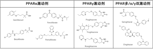 【速递】益普生首创PPAR激动剂美国上市,拓臻生物拥有国内权益医药新闻-ByDrug-一站式医药资源共享中心-医药魔方