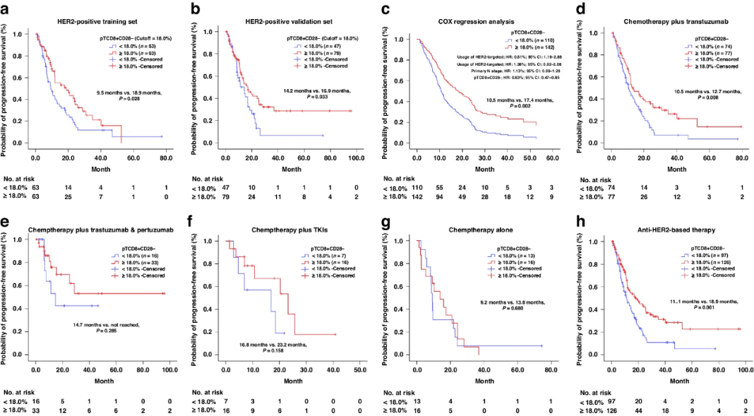 项目文章| 持续存在的外周CD8+ CD28- T细胞预示HER2阳性转移性乳腺癌的有利预后和肿瘤免疫医药新闻-ByDrug-一站式医药资源 ...
