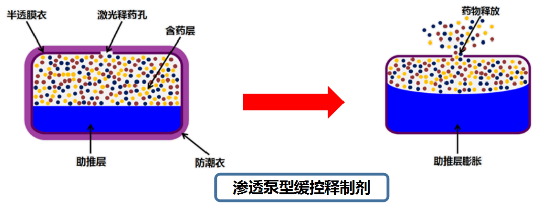 药学科普 | 形形色色的药物剂型你会吃吗?——缓控释制剂医药新闻-ByDrug-一站式医药资源共享中心-医药魔方