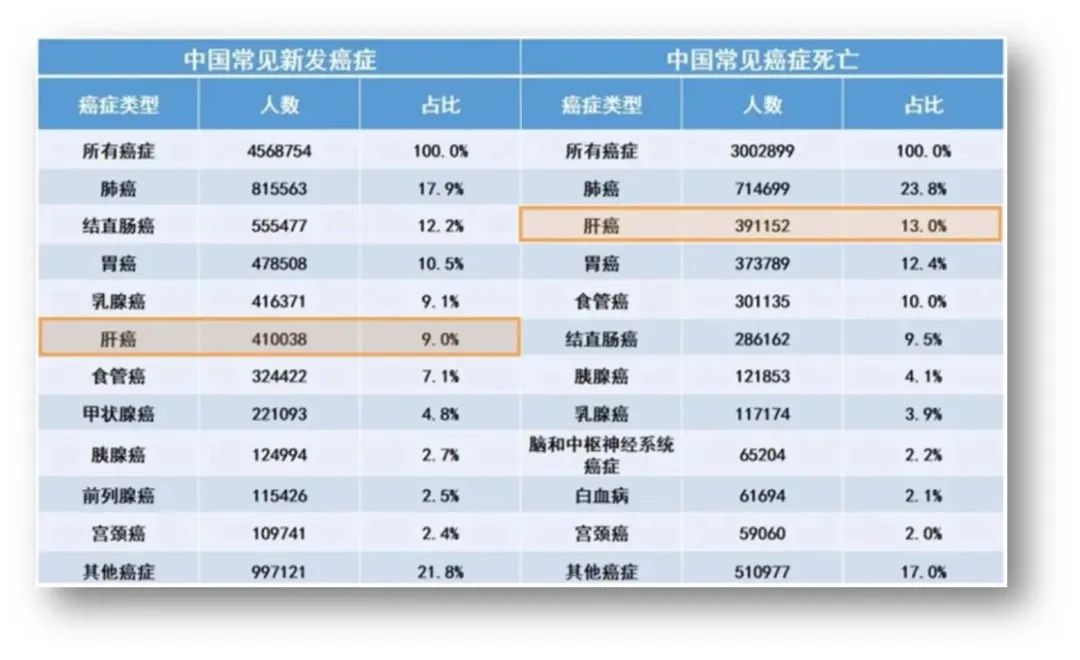  疫情发生后中国死亡人数有多少例了(中国新冠疫情死亡人数一共多少)
