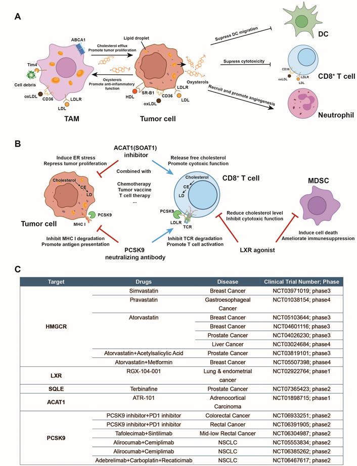 Immunity综述|许琛琦组合作总结免疫细胞胆固醇代谢全景图医药新闻-ByDrug-一站式医药资源共享中心-医药魔方