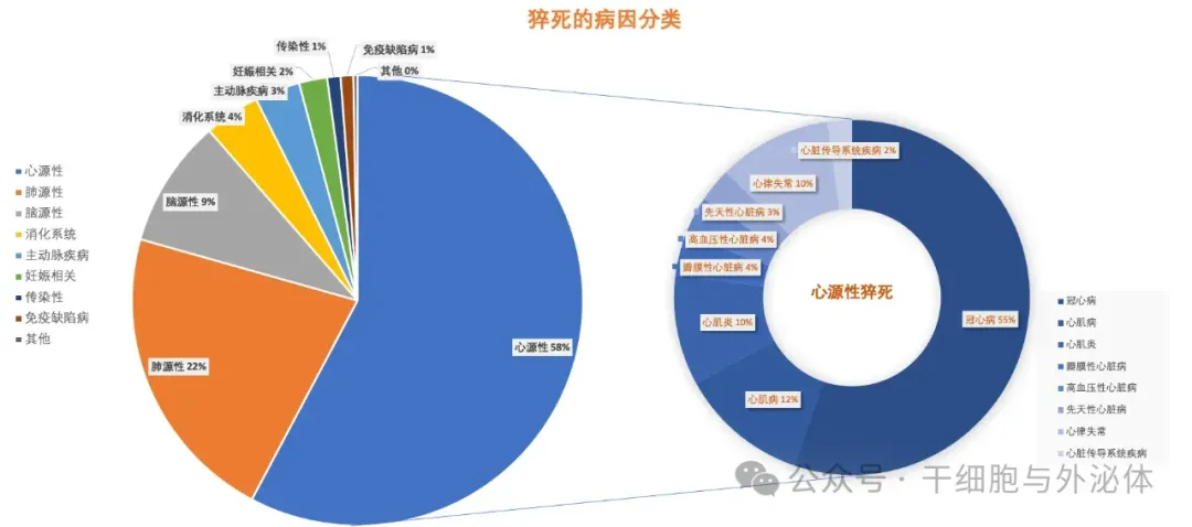 研究5516例猝死者,发现猝死规律,干细胞治疗或可预防疾病发生医药新闻-ByDrug-一站式医药资源共享中心-医药魔方