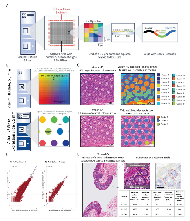 10x Genomics VisiumHD全球首篇文献发布医药新闻-ByDrug-一站式医药资源共享中心-医药魔方