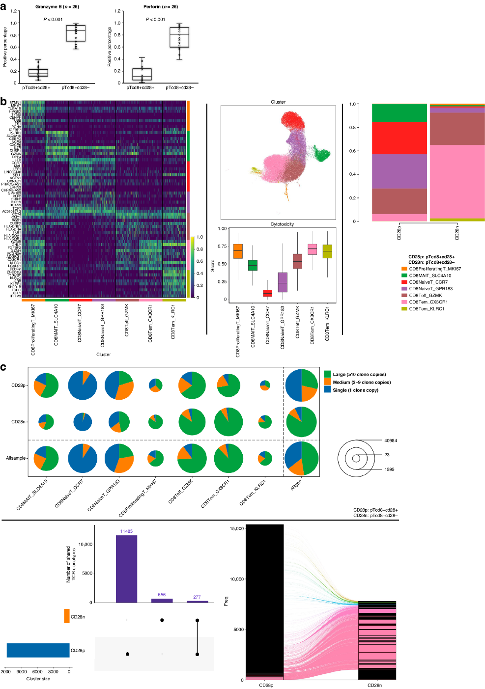 项目文章| 持续存在的外周CD8+ CD28- T细胞预示HER2阳性转移性乳腺癌的有利预后和肿瘤免疫医药新闻-ByDrug-一站式医药资源 ...