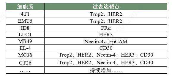 ADC联用新策略：协同破局肿瘤治疗医药新闻-ByDrug-一站式医药资源共享中心-医药魔方