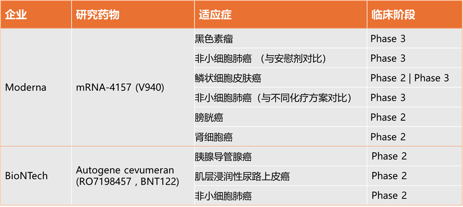 mRNA技术的突破与展望：2024年大事记医药新闻-ByDrug-一站式医药资源共享中心-医药魔方