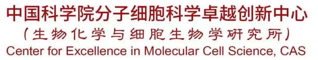 Immunity | 许琛琦组合作开展可相分离E-CAR免疫受体的理性设计与应用医药新闻-ByDrug-一站式医药资源共享中心-医药魔方