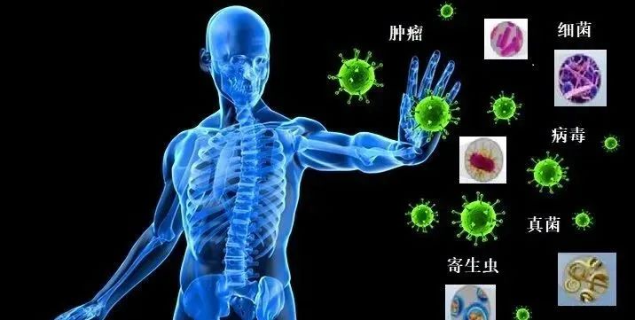 66例糖尿病肾病移植干细胞治疗，4个月后指标恢复正常值-Hypeptide