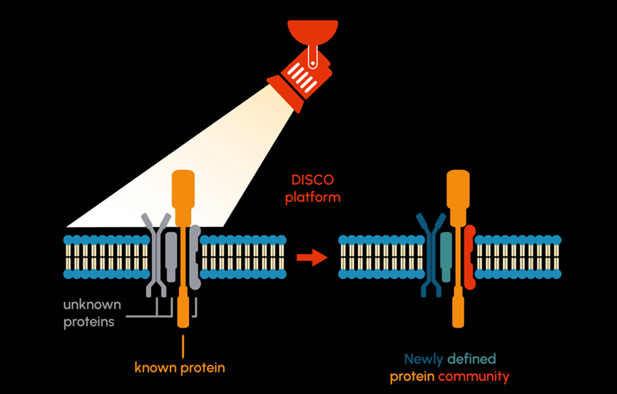 DISCO Pharmaceuticals完成2000万欧元种子轮融资,旨在发现新靶点医药新闻-ByDrug-一站式医药资源共享中心-医药魔方