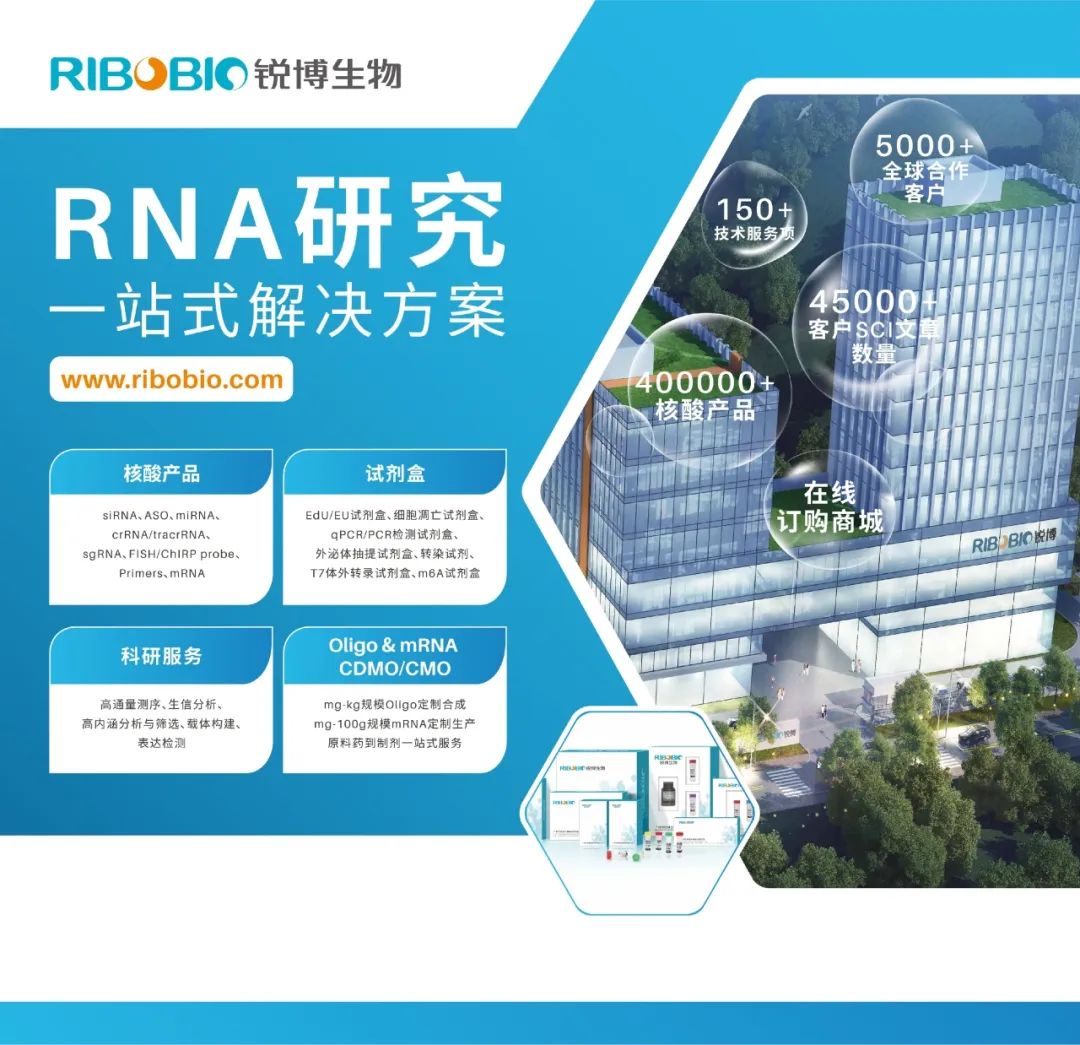 Adv Sci（IF14.3）丨癌细胞来源的外泌体miR-500a-3p调节肝星状细胞活化和免疫抑制微环境医药新闻-ByDrug-一站式医药 ...