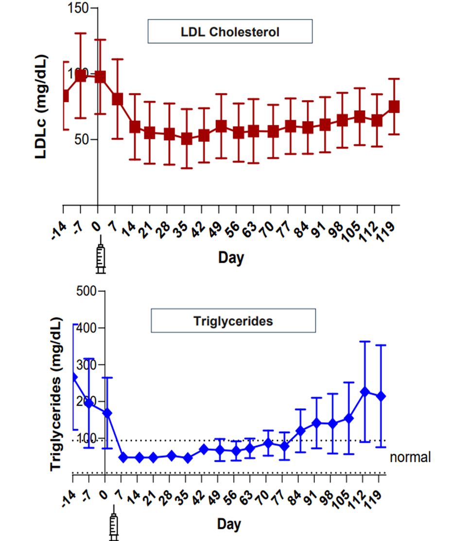【速递】Arrowhead启动ARO-DIMER-PA的1/2a期临床研究医药新闻-ByDrug-一站式医药资源共享中心-医药魔方